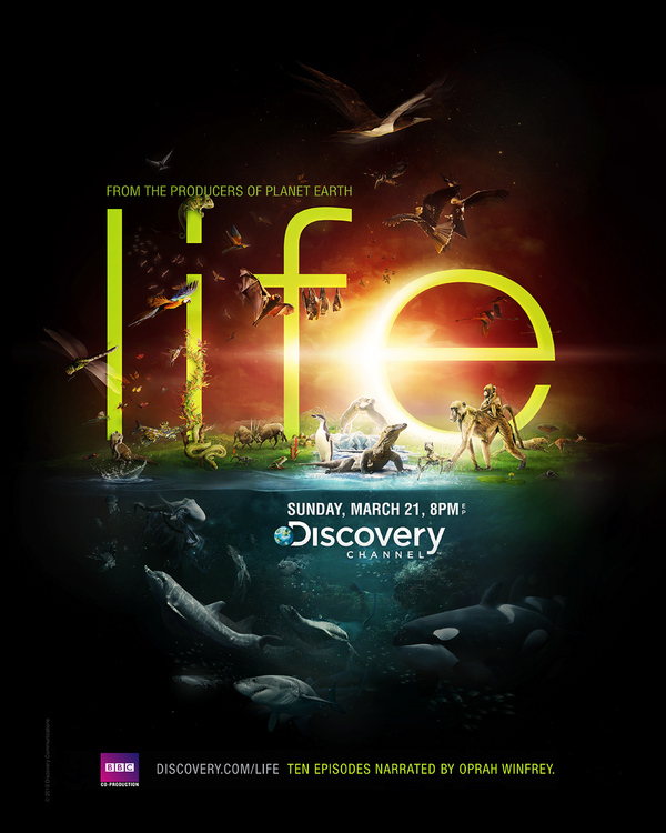 discovery
