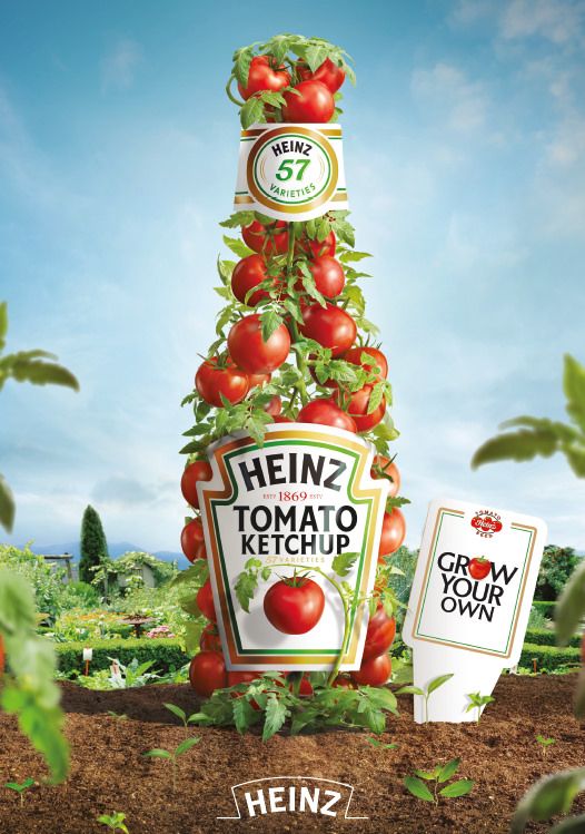 heinz